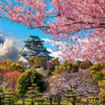 Kirschblüte in Japan