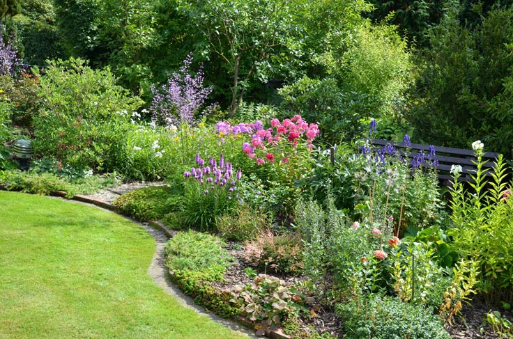 Mit Stauden den Garten ganzjährig gestalten